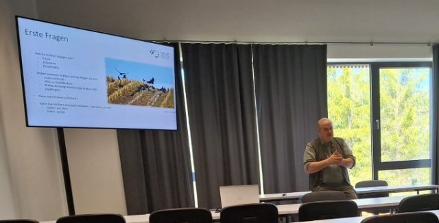 Krähenseminar
